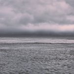 00013_51010©MatthewAndrews2018 00013_51010©MatthewAndrews2018