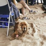 00014_51136©MatthewAndrews2018 00014_51136©MatthewAndrews2018